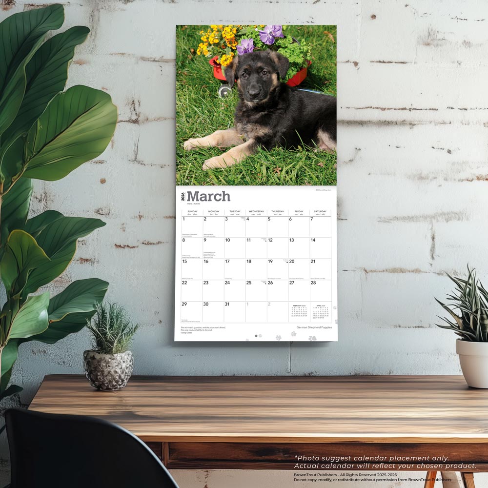 German Shepherd Puppies | 2026 12 x 24 Inch (Hanging) Monthly Square Wall Calendar