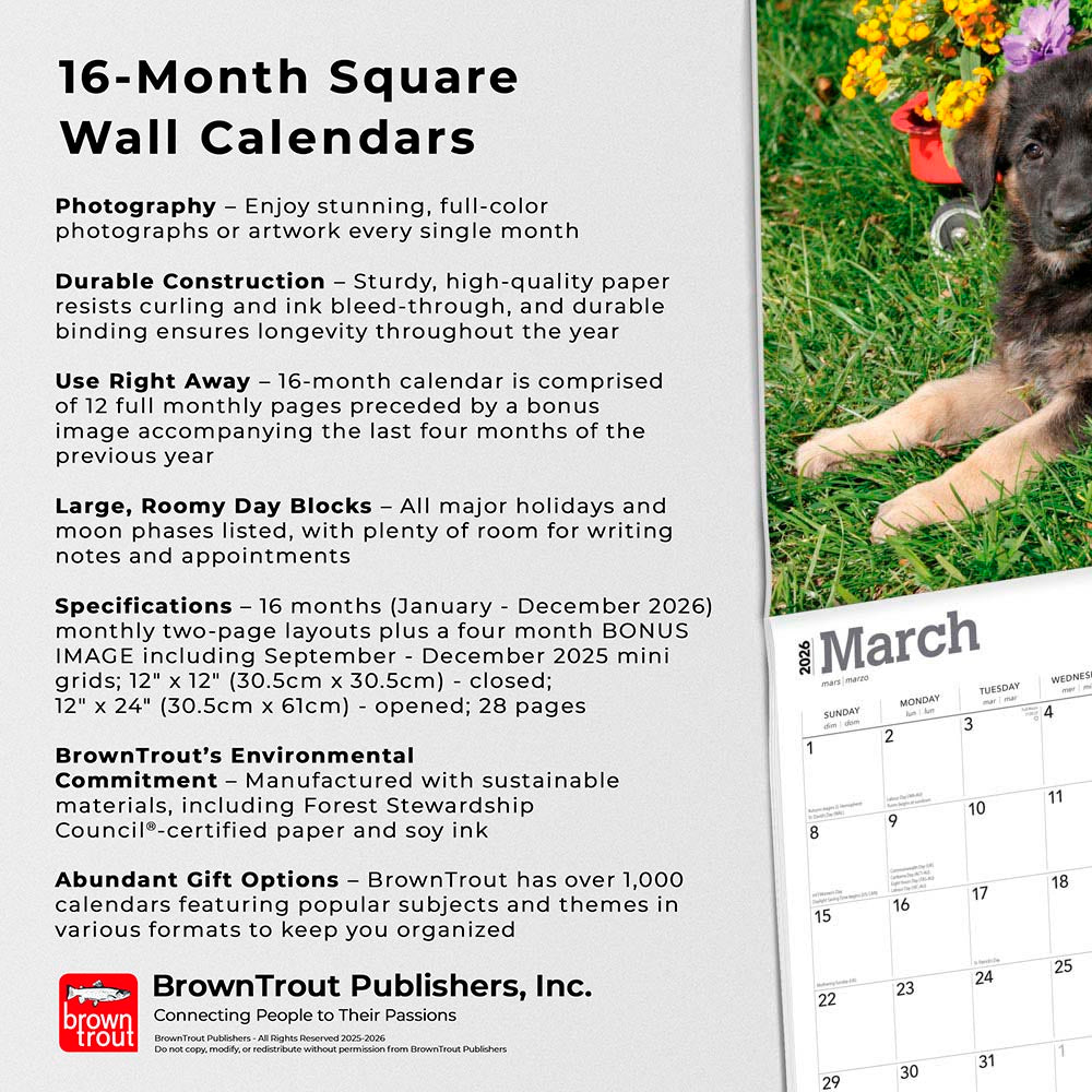 German Shepherd Puppies | 2026 12 x 24 Inch (Hanging) Monthly Square Wall Calendar