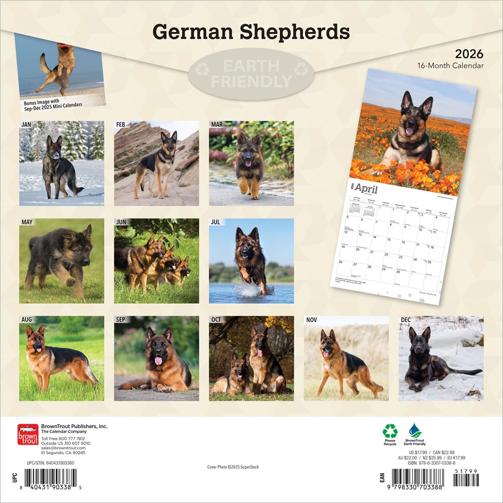 German Shepherds | 2026 12 x 24 Inch (Hanging) Monthly Square Wall Calendar