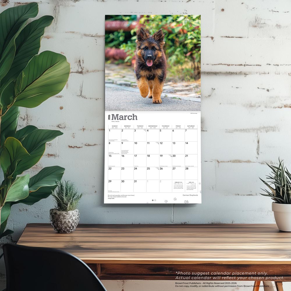 German Shepherds | 2026 12 x 24 Inch (Hanging) Monthly Square Wall Calendar