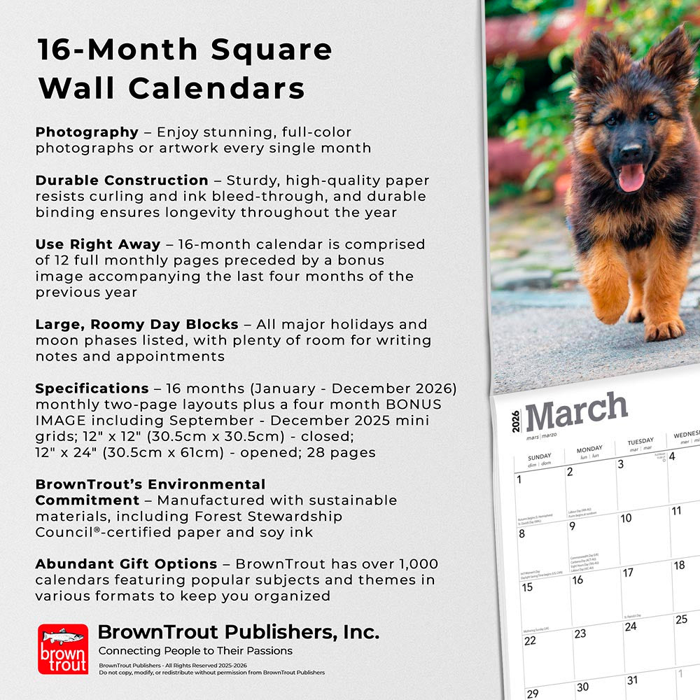 German Shepherds | 2026 12 x 24 Inch (Hanging) Monthly Square Wall Calendar