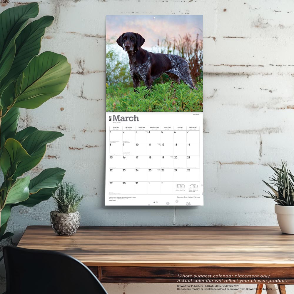 German Shorthaired Pointers | 2026 12 x 24 Inch (Hanging) Monthly Square Wall Calendar