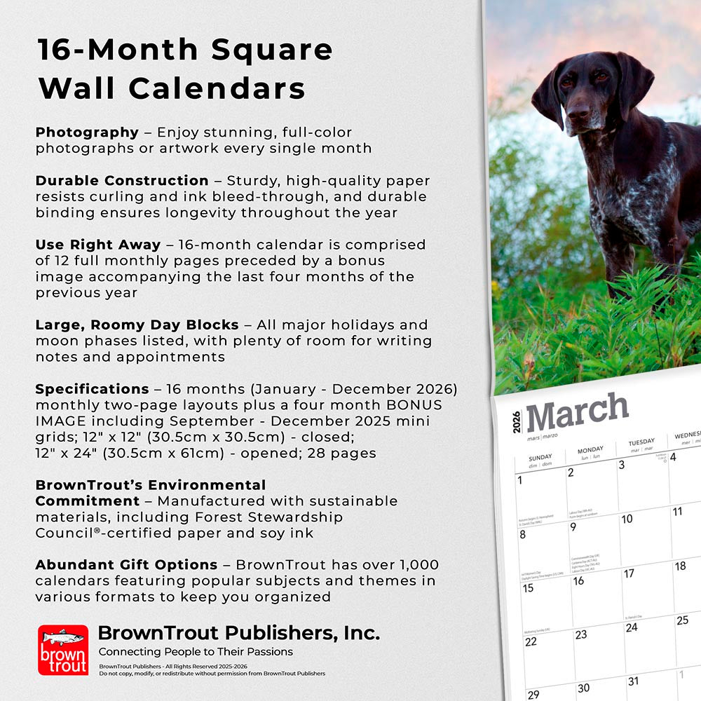 German Shorthaired Pointers | 2026 12 x 24 Inch (Hanging) Monthly Square Wall Calendar