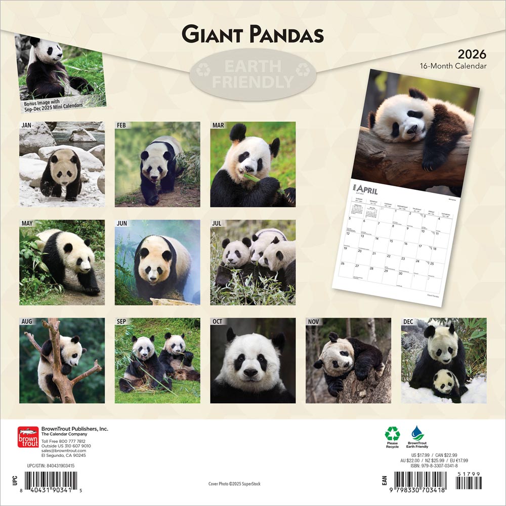 Giant Pandas | 2026 12 x 24 Inch (Hanging) Monthly Square Wall Calendar