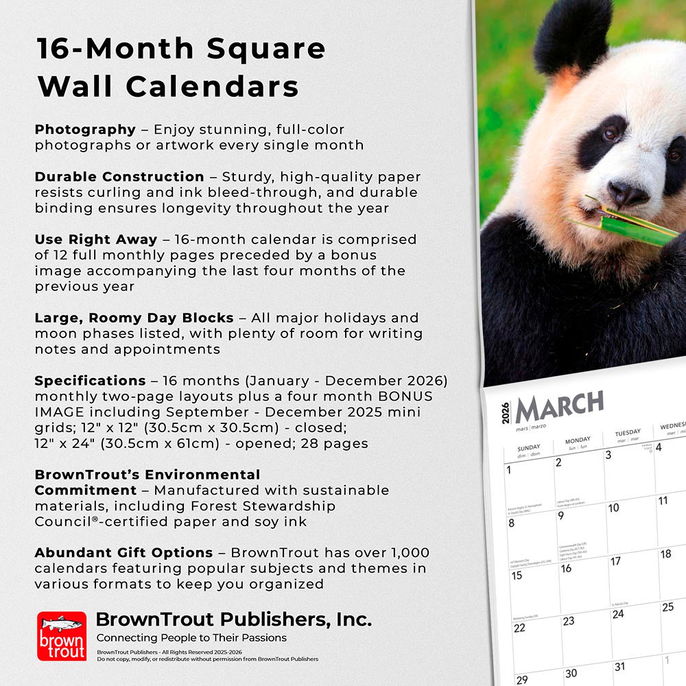 Giant Pandas | 2026 12 x 24 Inch (Hanging) Monthly Square Wall Calendar