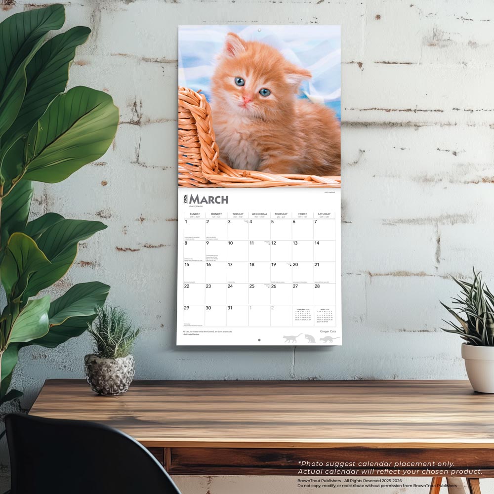 Ginger Cats | 2026 12 x 24 Inch (Hanging) Monthly Square Wall Calendar