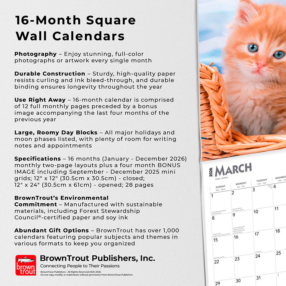 Ginger Cats | 2026 12 x 24 Inch (Hanging) Monthly Square Wall Calendar
