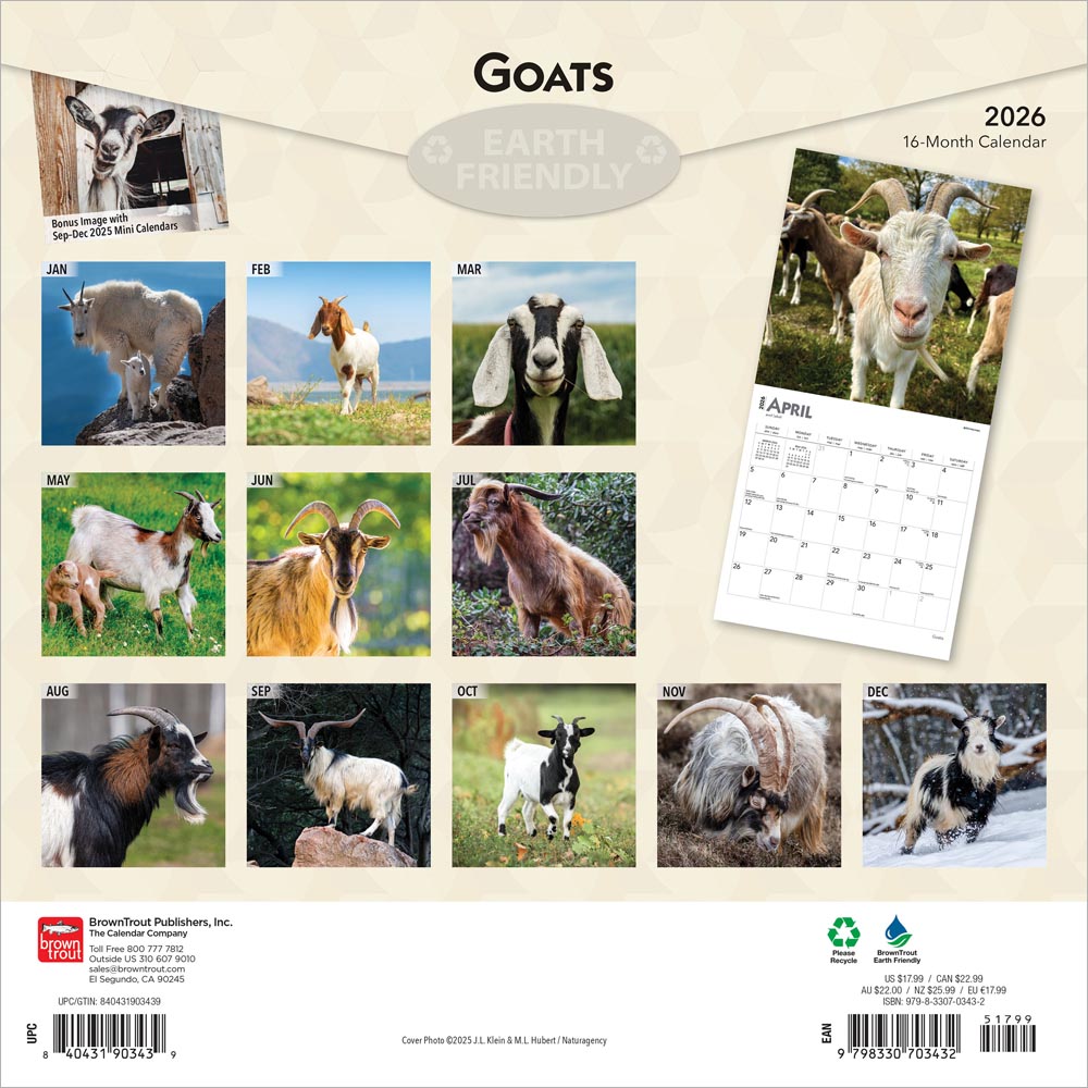 Goats | 2026 12 x 24 Inch (Hanging) Monthly Square Wall Calendar