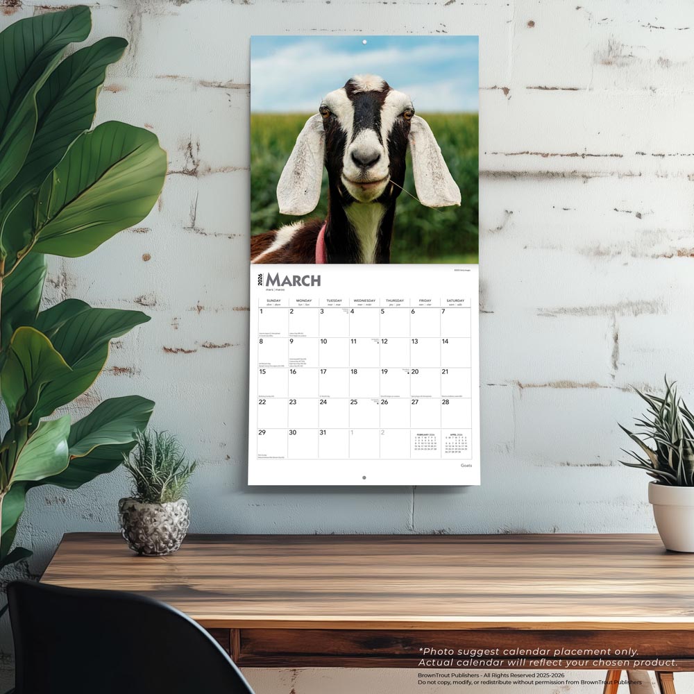 Goats | 2026 12 x 24 Inch (Hanging) Monthly Square Wall Calendar