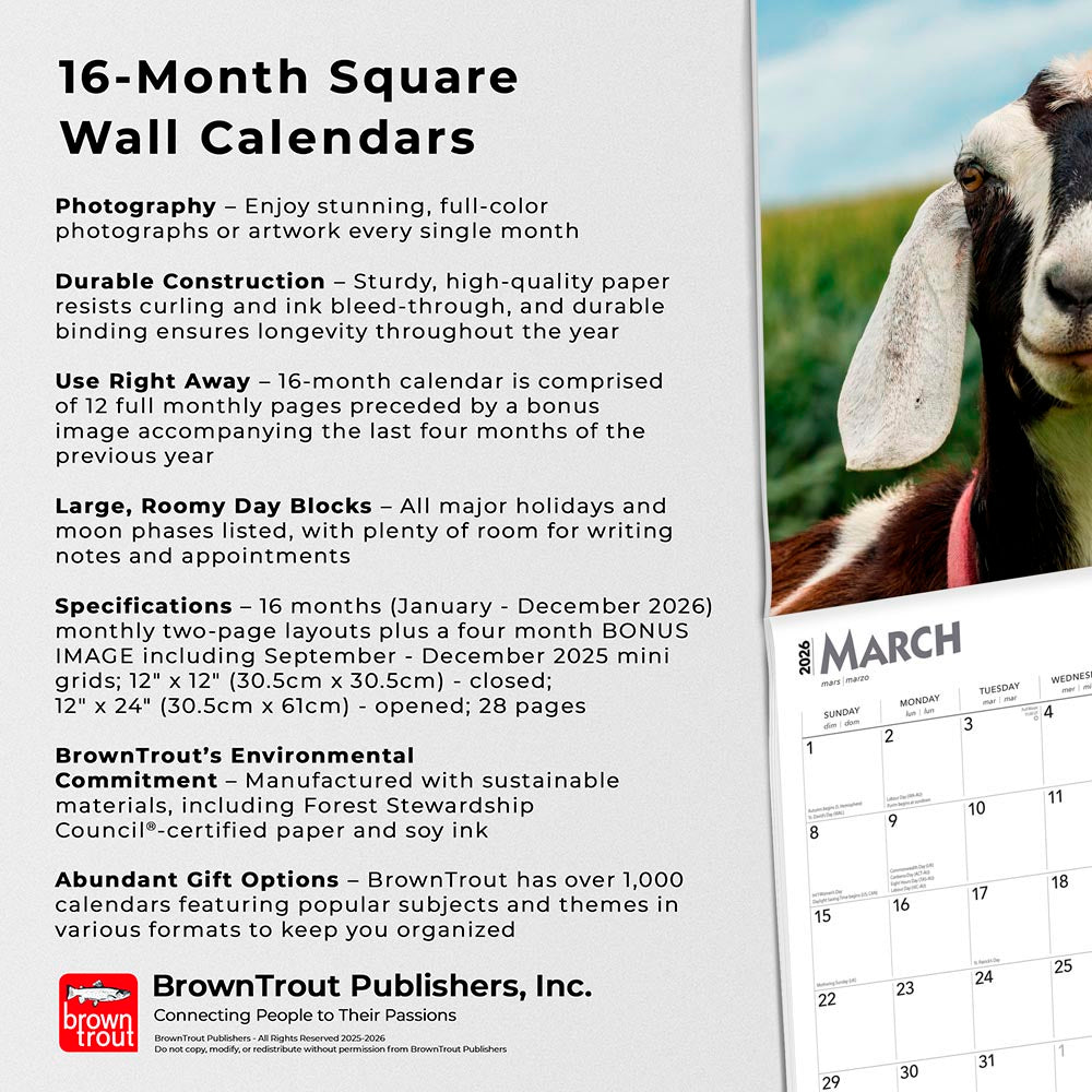 Goats | 2026 12 x 24 Inch (Hanging) Monthly Square Wall Calendar