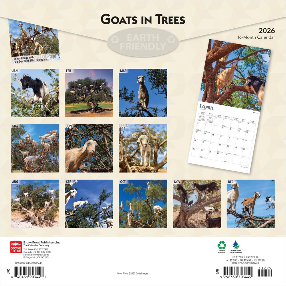 Goats in Trees | 2026 12 x 24 Inch (Hanging) Monthly Square Wall Calendar