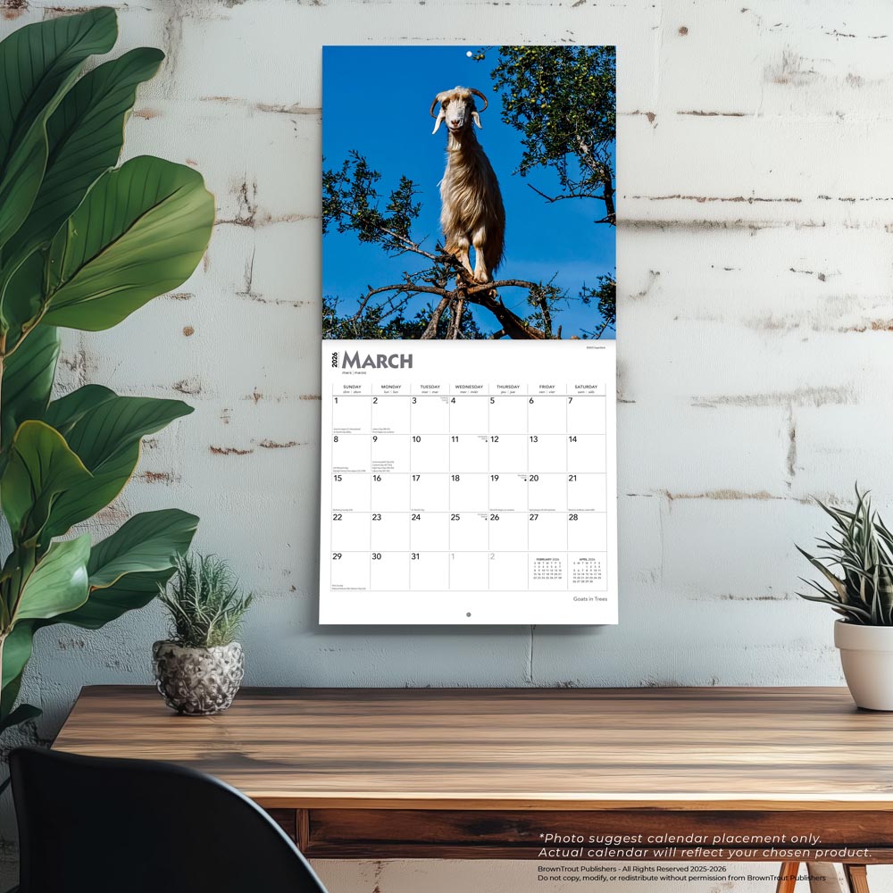 Goats in Trees | 2026 12 x 24 Inch (Hanging) Monthly Square Wall Calendar
