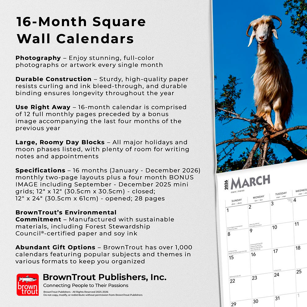 Goats in Trees | 2026 12 x 24 Inch (Hanging) Monthly Square Wall Calendar