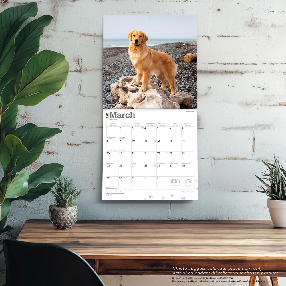 Golden Retrievers | 2026 12 x 24 Inch (Hanging) Monthly Square Wall Calendar | Foil Stamped Cover