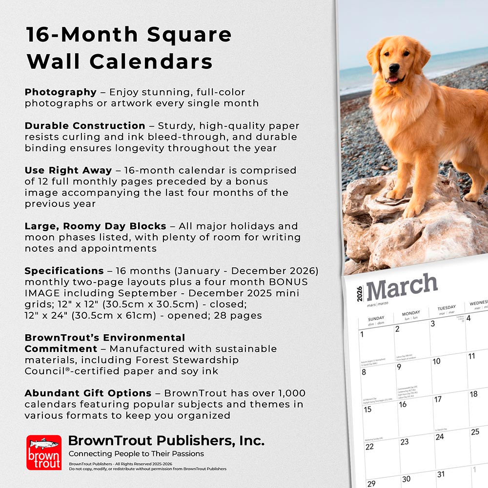 Golden Retrievers | 2026 12 x 24 Inch (Hanging) Monthly Square Wall Calendar | Foil Stamped Cover