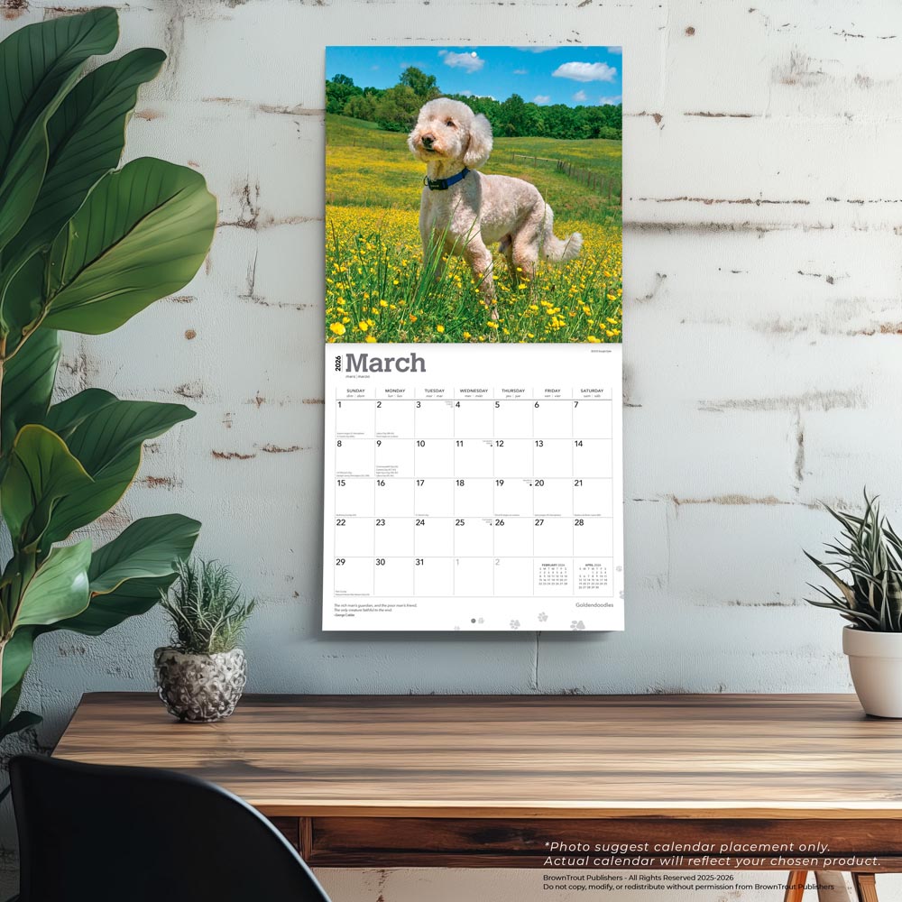 Goldendoodles | 2026 12 x 24 Inch (Hanging) Monthly Square Wall Calendar