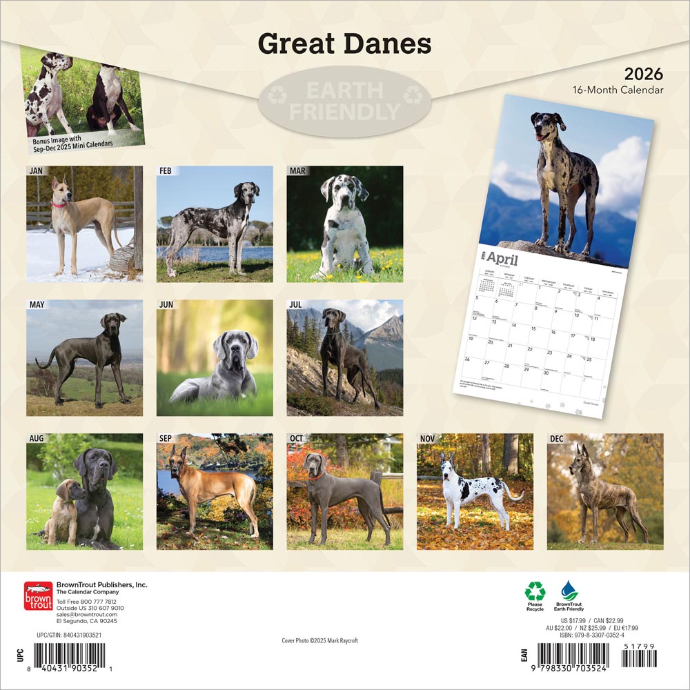 Great Danes | 2026 12 x 24 Inch (Hanging) Monthly Square Wall Calendar