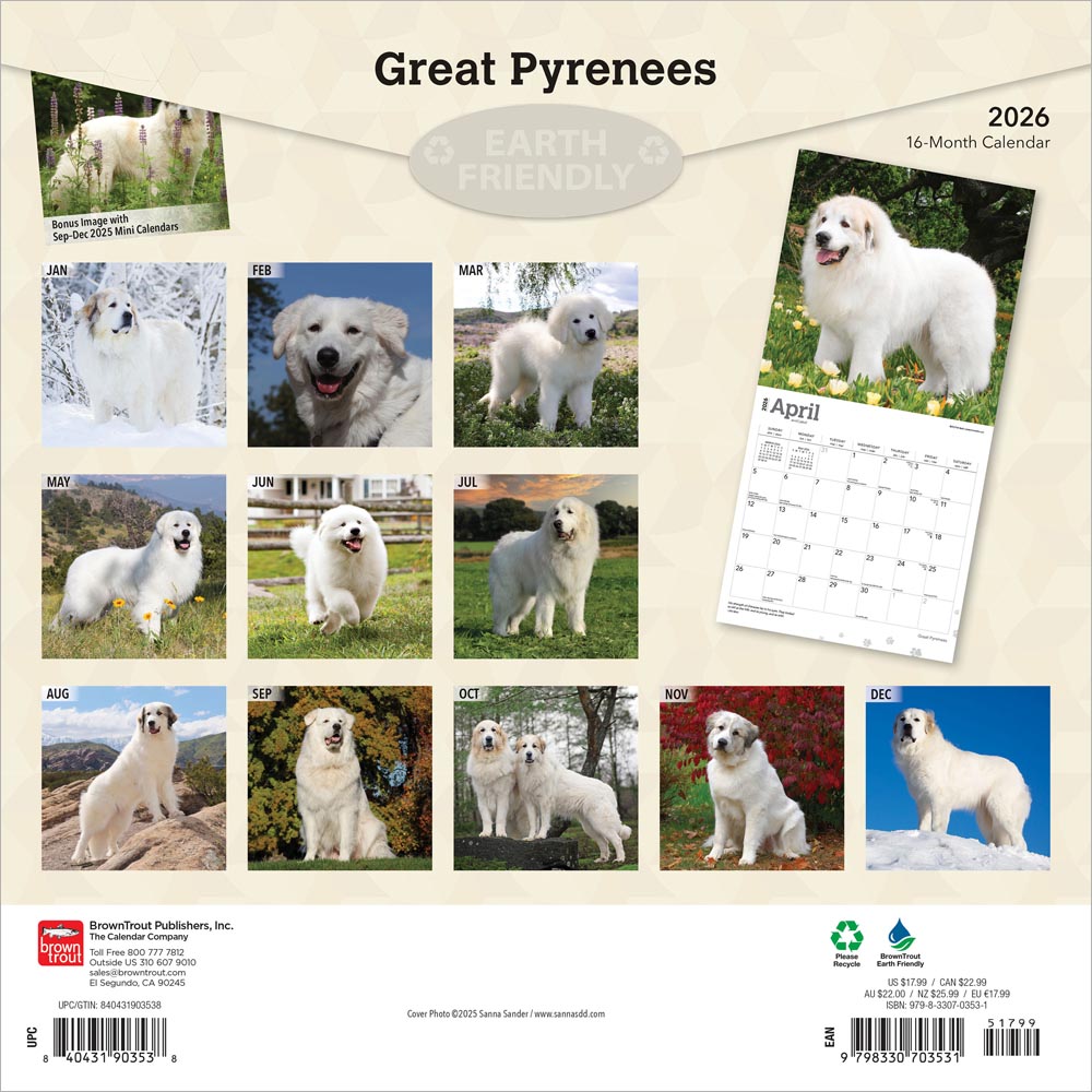 Great Pyrenees | 2026 12 x 24 Inch (Hanging) Monthly Square Wall Calendar