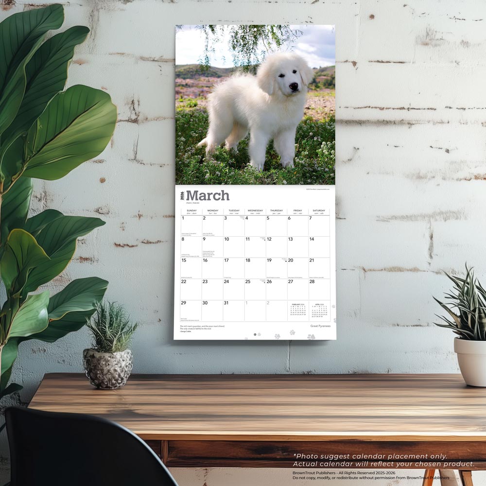 Great Pyrenees | 2026 12 x 24 Inch (Hanging) Monthly Square Wall Calendar