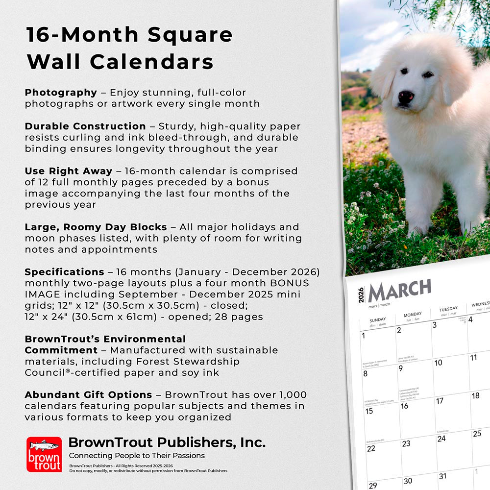 Great Pyrenees | 2026 12 x 24 Inch (Hanging) Monthly Square Wall Calendar
