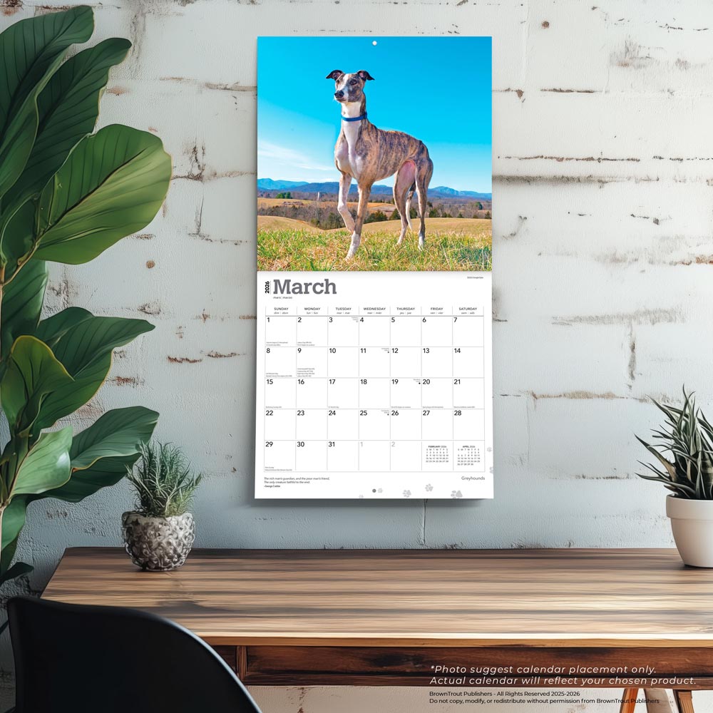 Greyhounds | 2026 12 x 24 Inch (Hanging) Monthly Square Wall Calendar