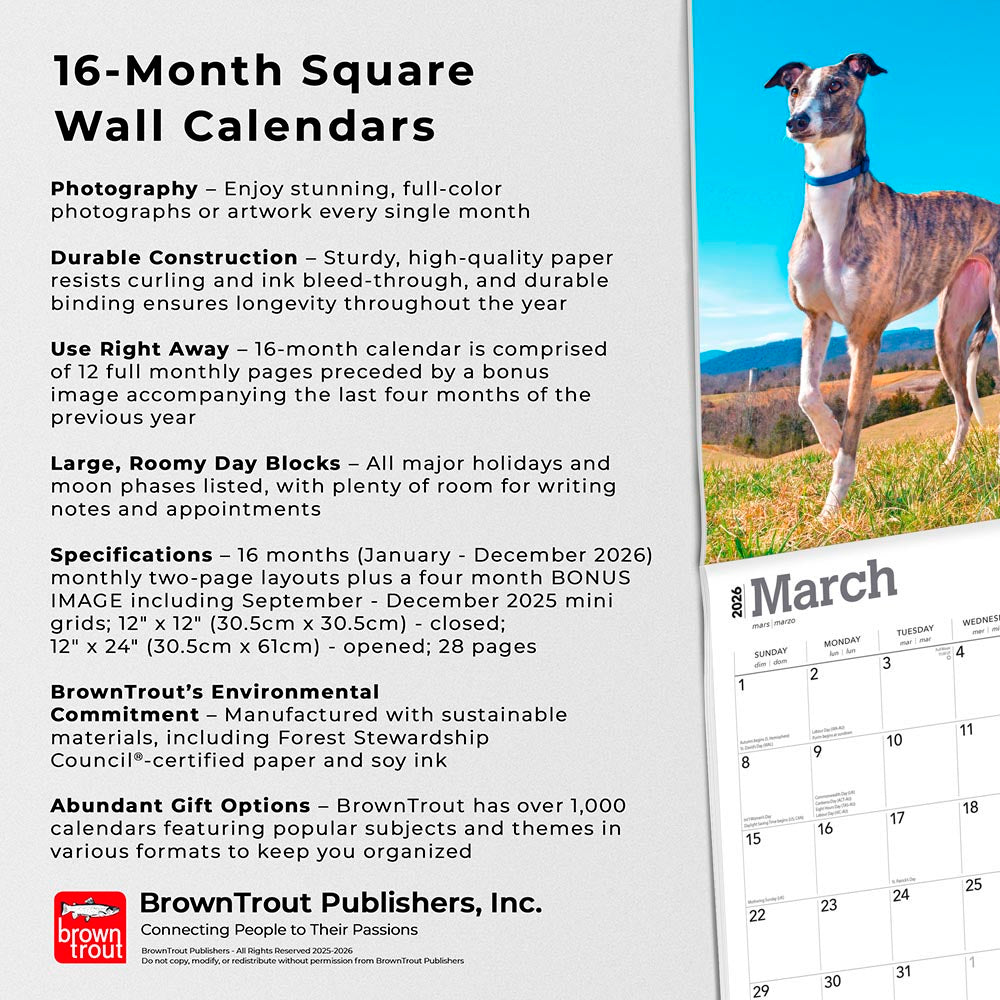 Greyhounds | 2026 12 x 24 Inch (Hanging) Monthly Square Wall Calendar