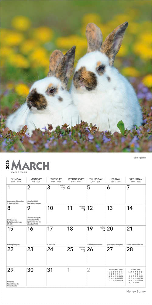 Honey Bunny | 2026 7 x 14 Inch (Hanging) Monthly Mini Wall Calendar
