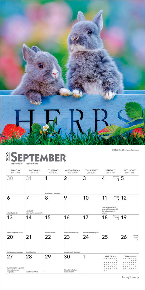Honey Bunny | 2026 7 x 14 Inch (Hanging) Monthly Mini Wall Calendar