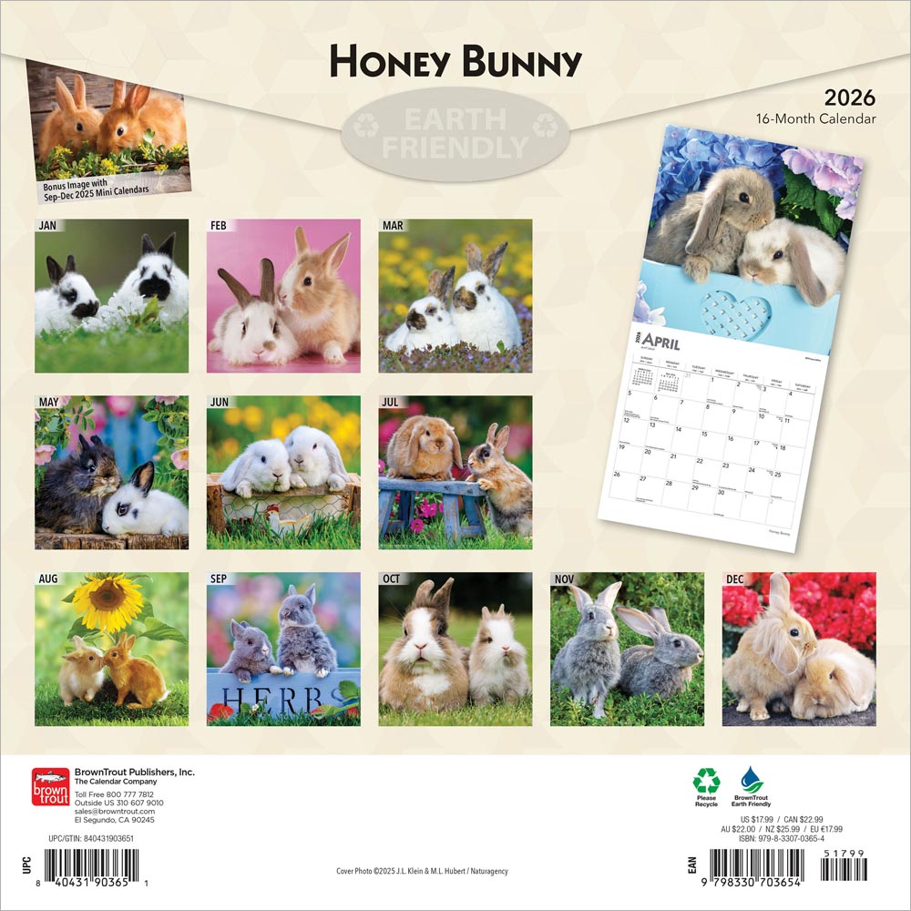Honey Bunny | 2026 12 x 24 Inch (Hanging) Monthly Square Wall Calendar