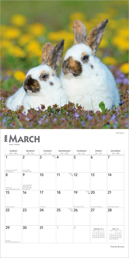 Honey Bunny | 2026 12 x 24 Inch (Hanging) Monthly Square Wall Calendar