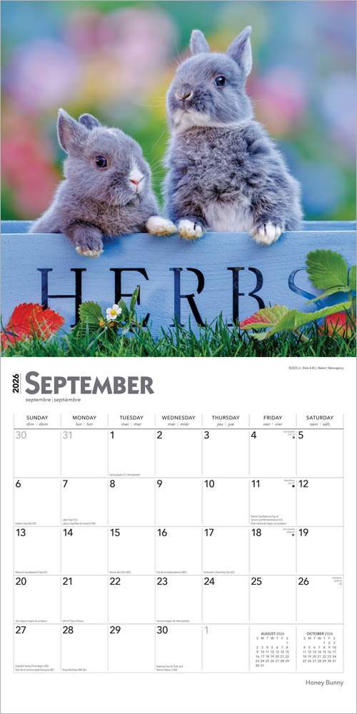 Honey Bunny | 2026 12 x 24 Inch (Hanging) Monthly Square Wall Calendar