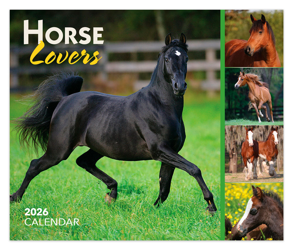 Horse Lovers | 2026 6 x 5 Inch Daily Desktop Box Calendar | New Page Every Day