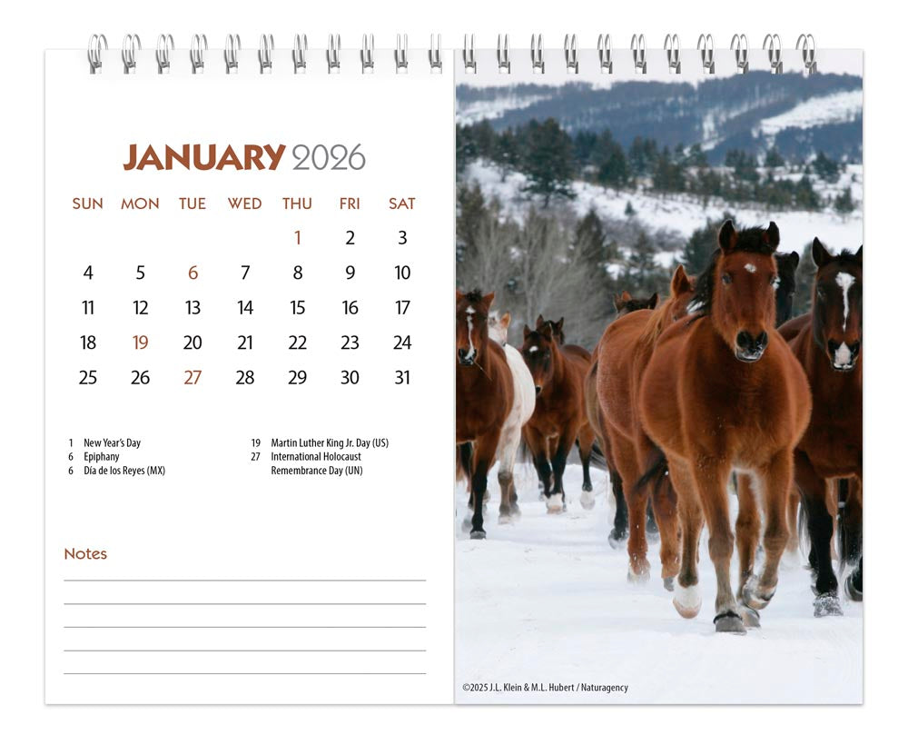 Horse Lovers | 2026 7.5 x 6 Inch Monthly Double-View Easel Desk Calendar