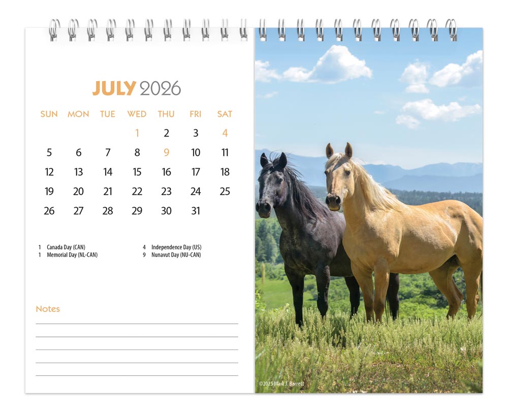 Horse Lovers | 2026 7.5 x 6 Inch Monthly Double-View Easel Desk Calendar