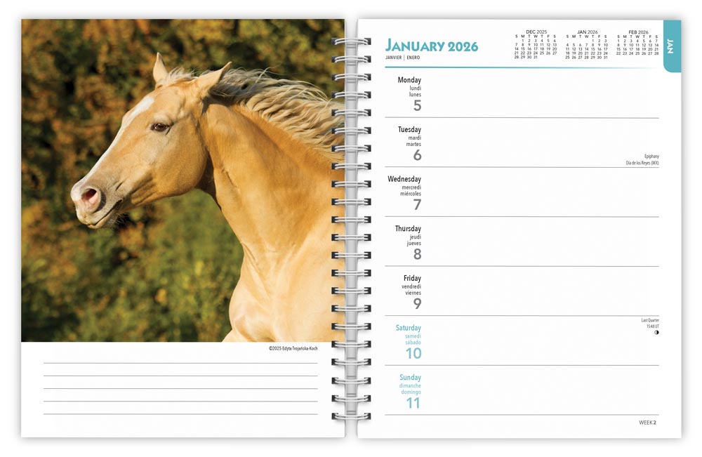 Horse Lovers | 2026 6 x 7.75 Inch Spiral-Bound Wire-O Weekly Engagement Planner Calendar | New Full-Color Image Every Week