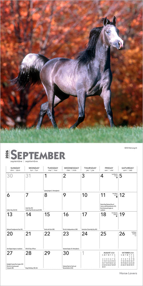 Horse Lovers | 2026 7 x 14 Inch (Hanging) Monthly Mini Wall Calendar