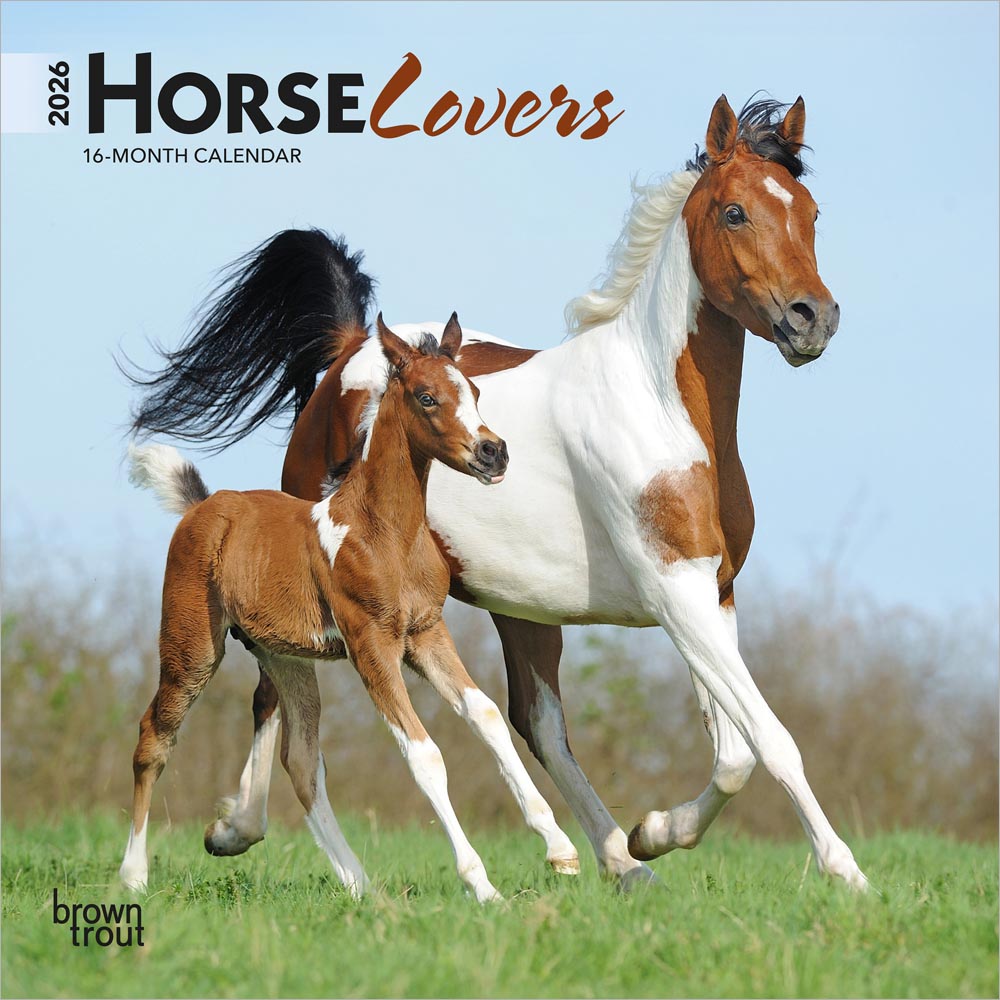 Horse Lovers | 2026 7 x 14 Inch (Hanging) Monthly Mini Wall Calendar