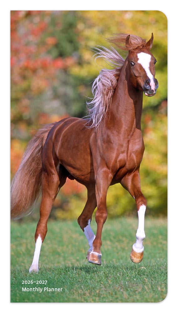 Horse Lovers | 2026-2027 3.5 x 6.5 Inch Two Year Monthly Pocket Planner Calendar