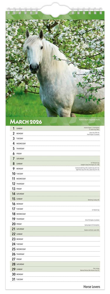 Horse Lovers | 2026  5.7 x 16.5 Inch (Hanging) Monthly Slimline Wall Calendar