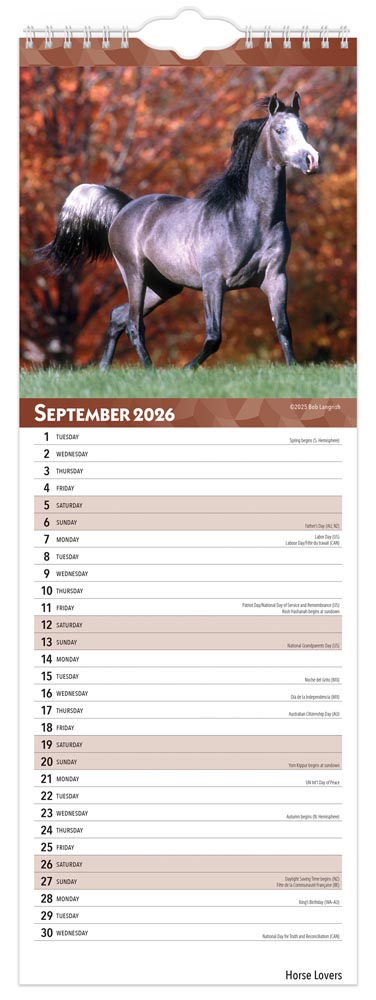 Horse Lovers | 2026  5.7 x 16.5 Inch (Hanging) Monthly Slimline Wall Calendar