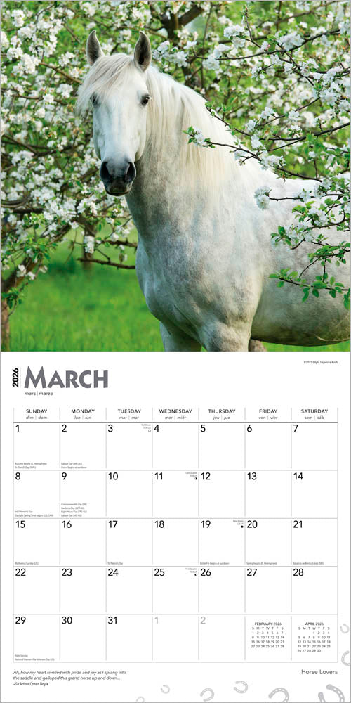 Horse Lovers | 2026 12 x 24 Inch (Hanging) Monthly Square Wall Calendar