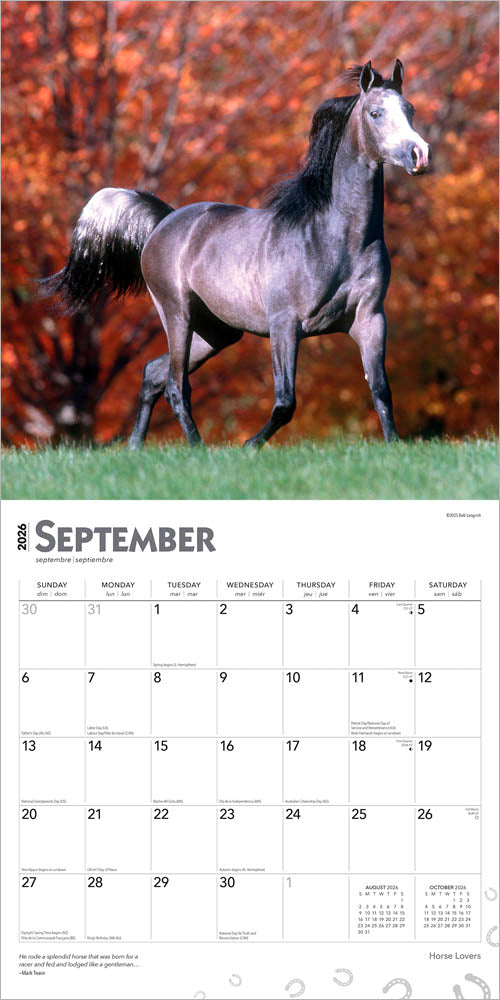 Horse Lovers | 2026 12 x 24 Inch (Hanging) Monthly Square Wall Calendar