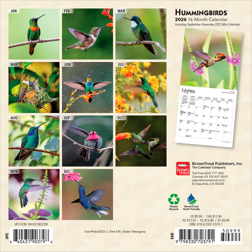Hummingbirds | 2026 7 x 14 Inch (Hanging) Monthly Mini Wall Calendar