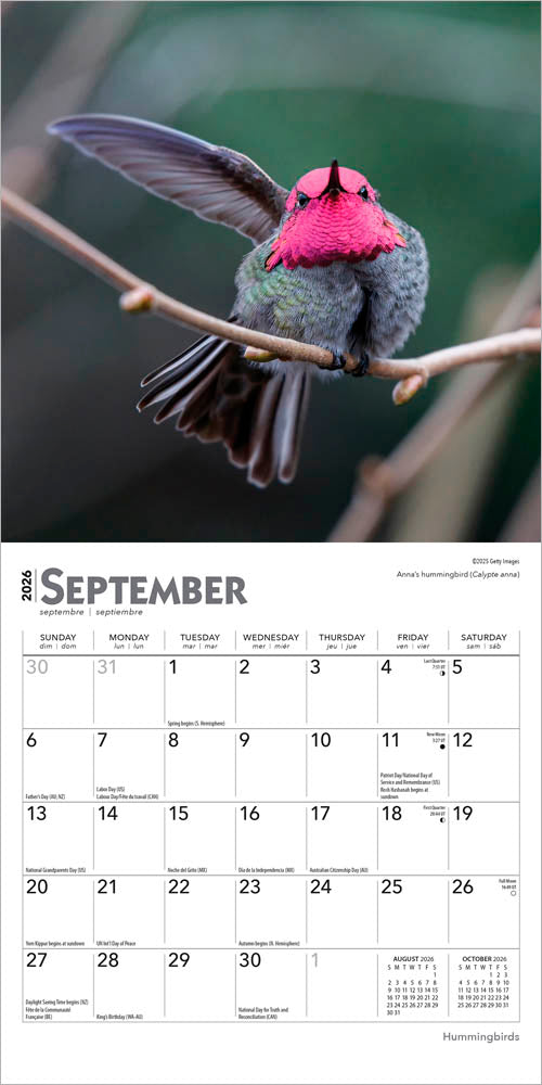 Hummingbirds | 2026 7 x 14 Inch (Hanging) Monthly Mini Wall Calendar