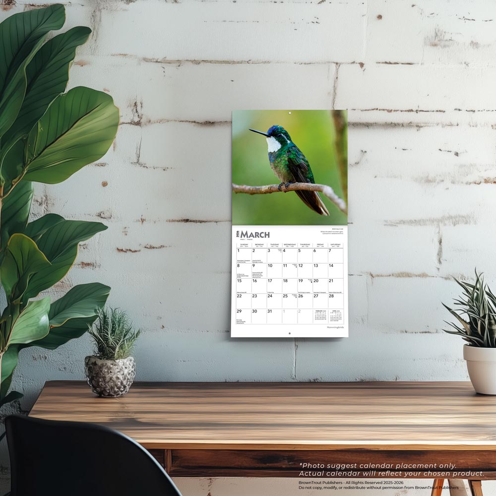 Hummingbirds | 2026 7 x 14 Inch (Hanging) Monthly Mini Wall Calendar