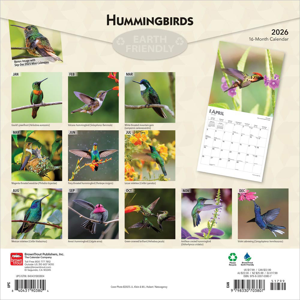 Hummingbirds | 2026 12 x 24 Inch (Hanging) Monthly Square Wall Calendar | Foil Stamped Cover