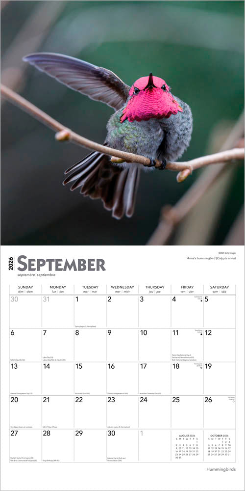 Hummingbirds | 2026 12 x 24 Inch (Hanging) Monthly Square Wall Calendar | Foil Stamped Cover