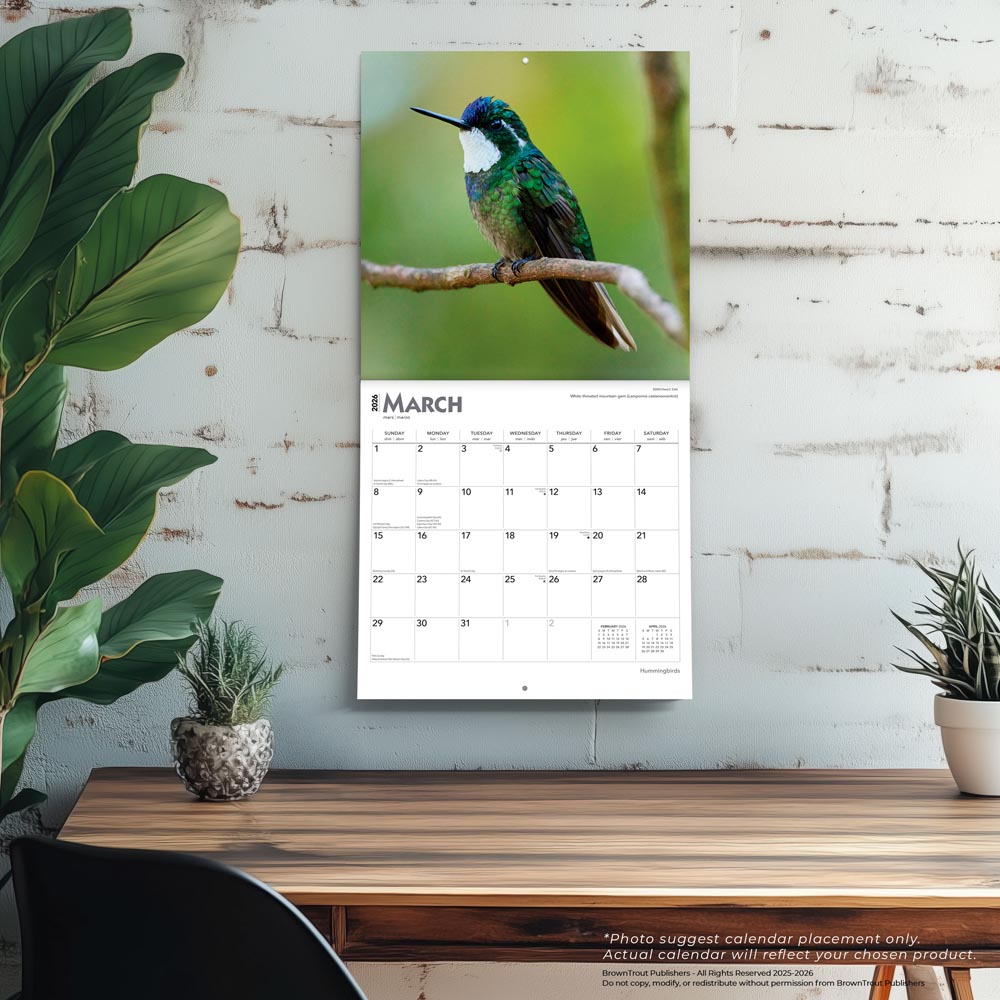 Hummingbirds | 2026 12 x 24 Inch (Hanging) Monthly Square Wall Calendar | Foil Stamped Cover