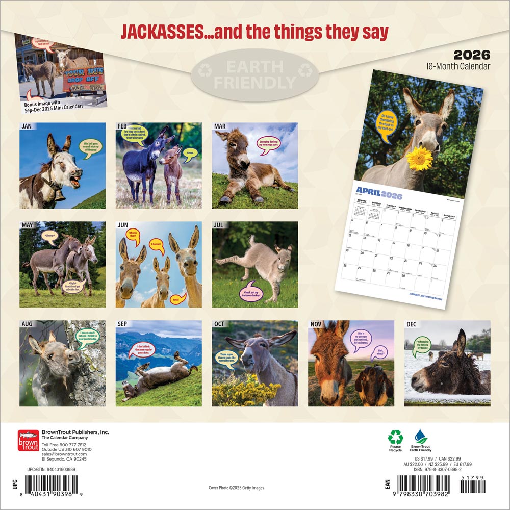 Jackasses | 2026 12 x 24 Inch (Hanging) Monthly Square Wall Calendar
