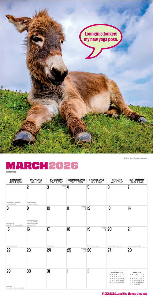 Jackasses | 2026 12 x 24 Inch (Hanging) Monthly Square Wall Calendar